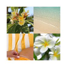 Charger l'image dans la galerie, COFFRET AZUR CHILL YOLO CANNES - Brume parfumée, gel douche & lait corps