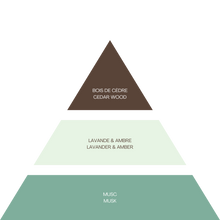 Load image into Gallery viewer, COMPTOIR COLOGNE GIFT SET - Cedarwood Perfume & Scrub