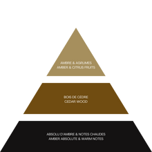 Laden Sie das Bild in den Galerie-Viewer, COLOGNE COUNTER BOX – Schwarzer Bernstein & Peeling