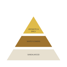Laden Sie das Bild in den Galerie-Viewer, THE SOURCE BOX SET - Goldfieber