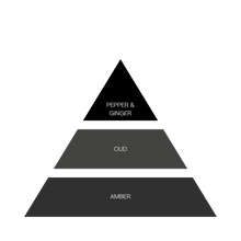 Load image into Gallery viewer, La Source Homme - Oud Mystère - 60ml