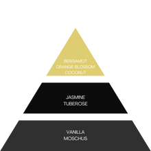 Laden Sie das Bild in den Galerie-Viewer, DZL - Verführerisches Nachthaarparfüm - 100 ml