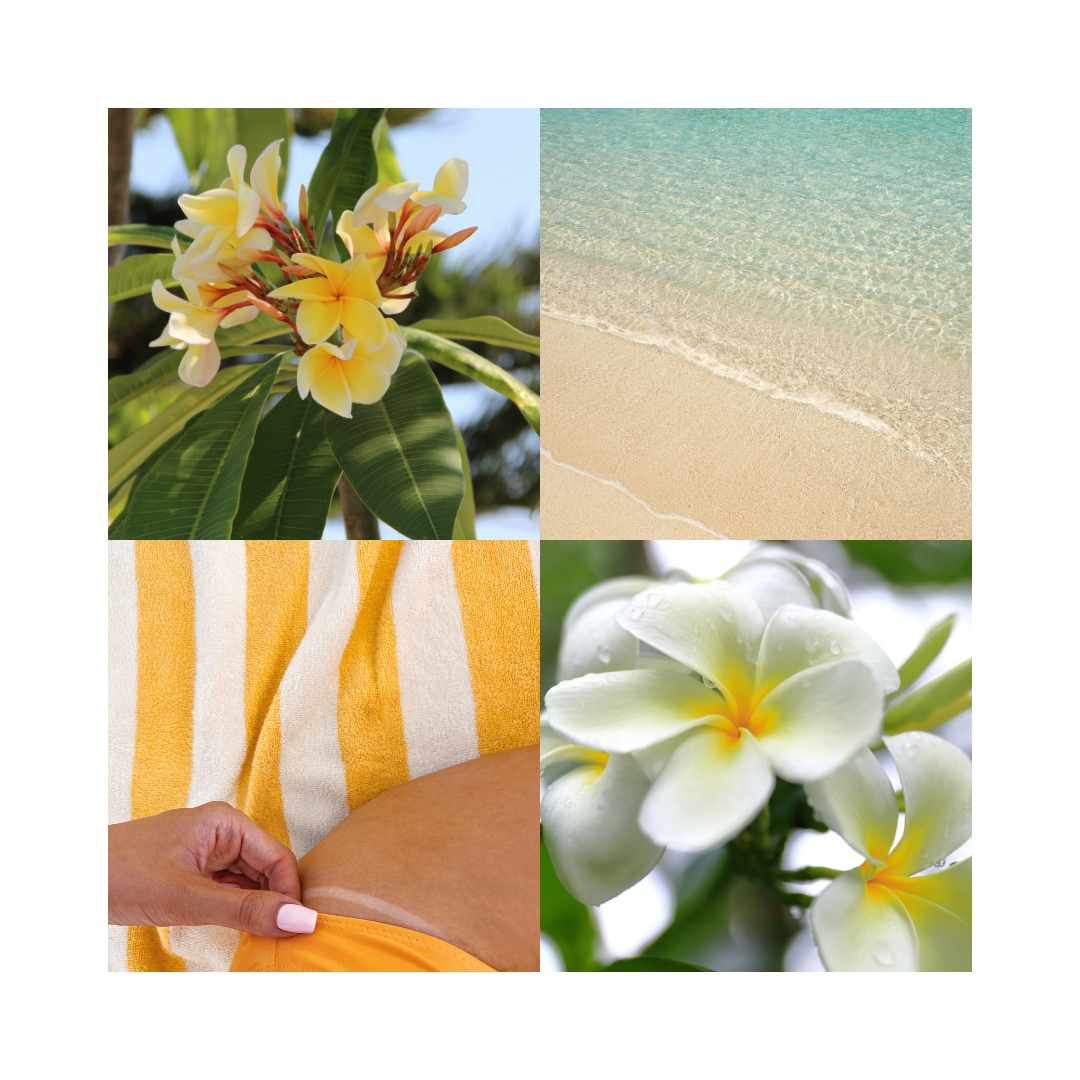 YOLO CANNES Brumes Parfumées - COLLECTION - Azur Chill, Bijou Plage, Riviera Glam, Bocca Cabana, Baôli Queen - 90 ml