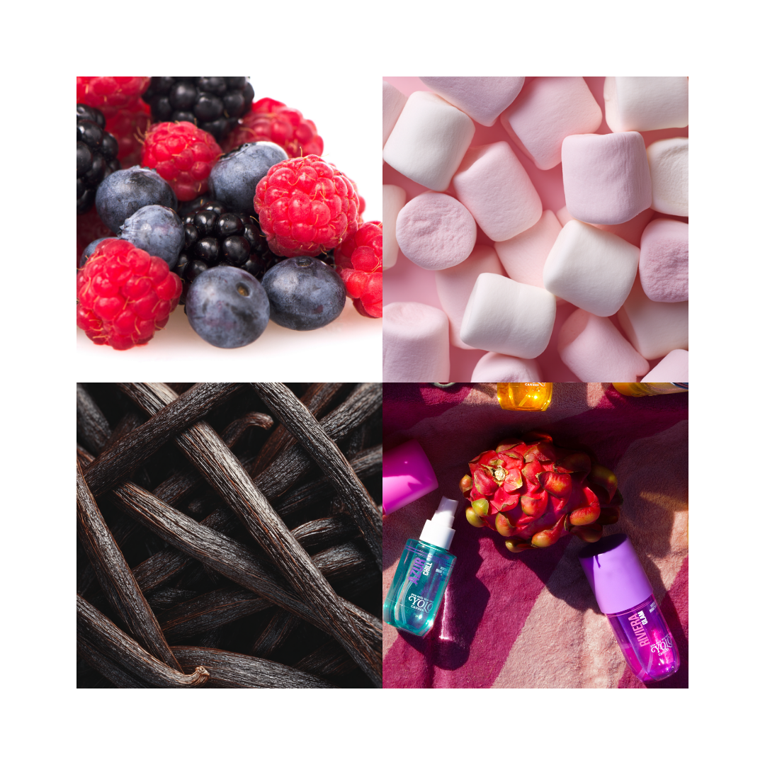 YOLO CANNES - Coffret Riviera Glam - Brume Parfumée 90ml, Gel Douche 100ml & Lait Corps 100ml