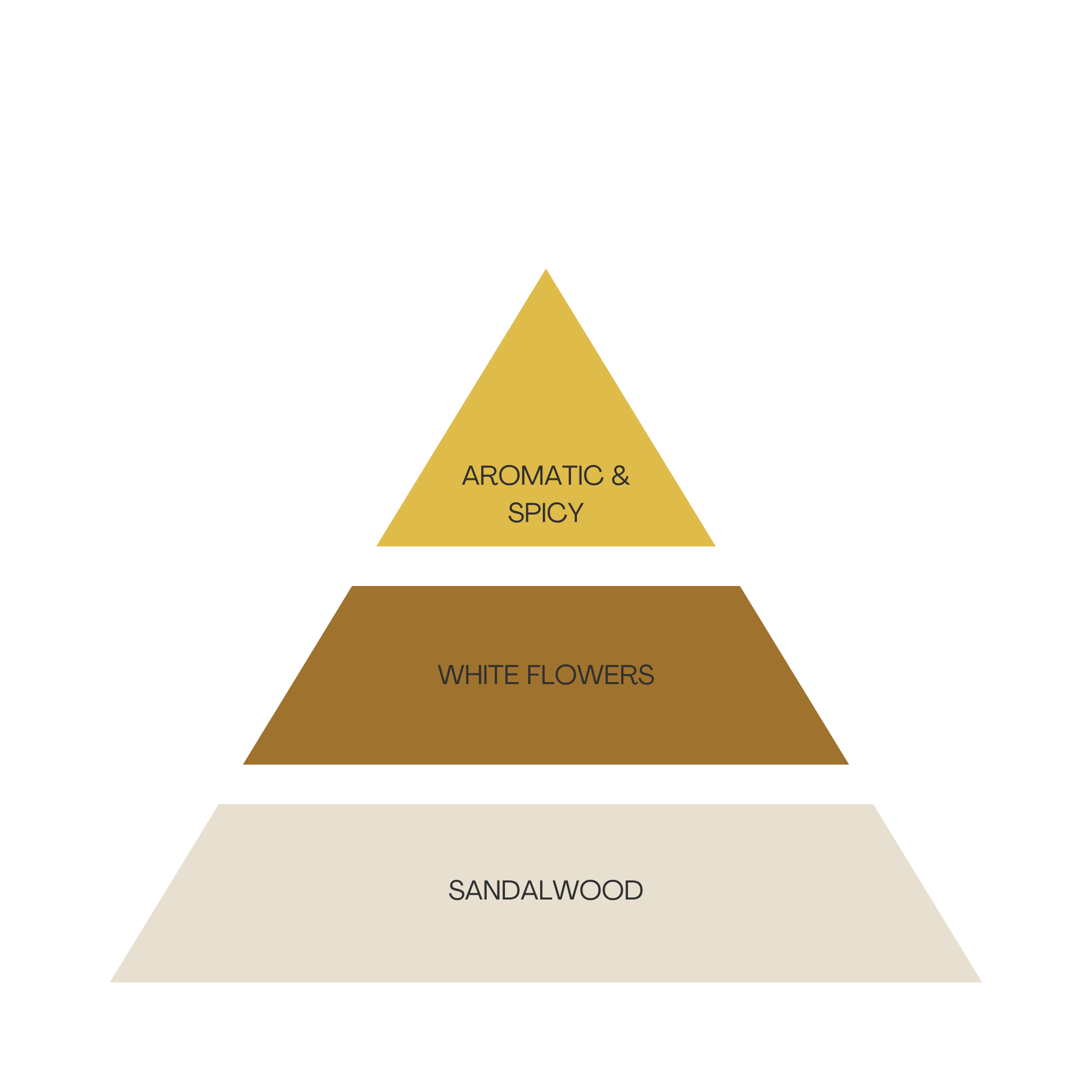 NEW - La Source Men - Gold Fever - 60ml