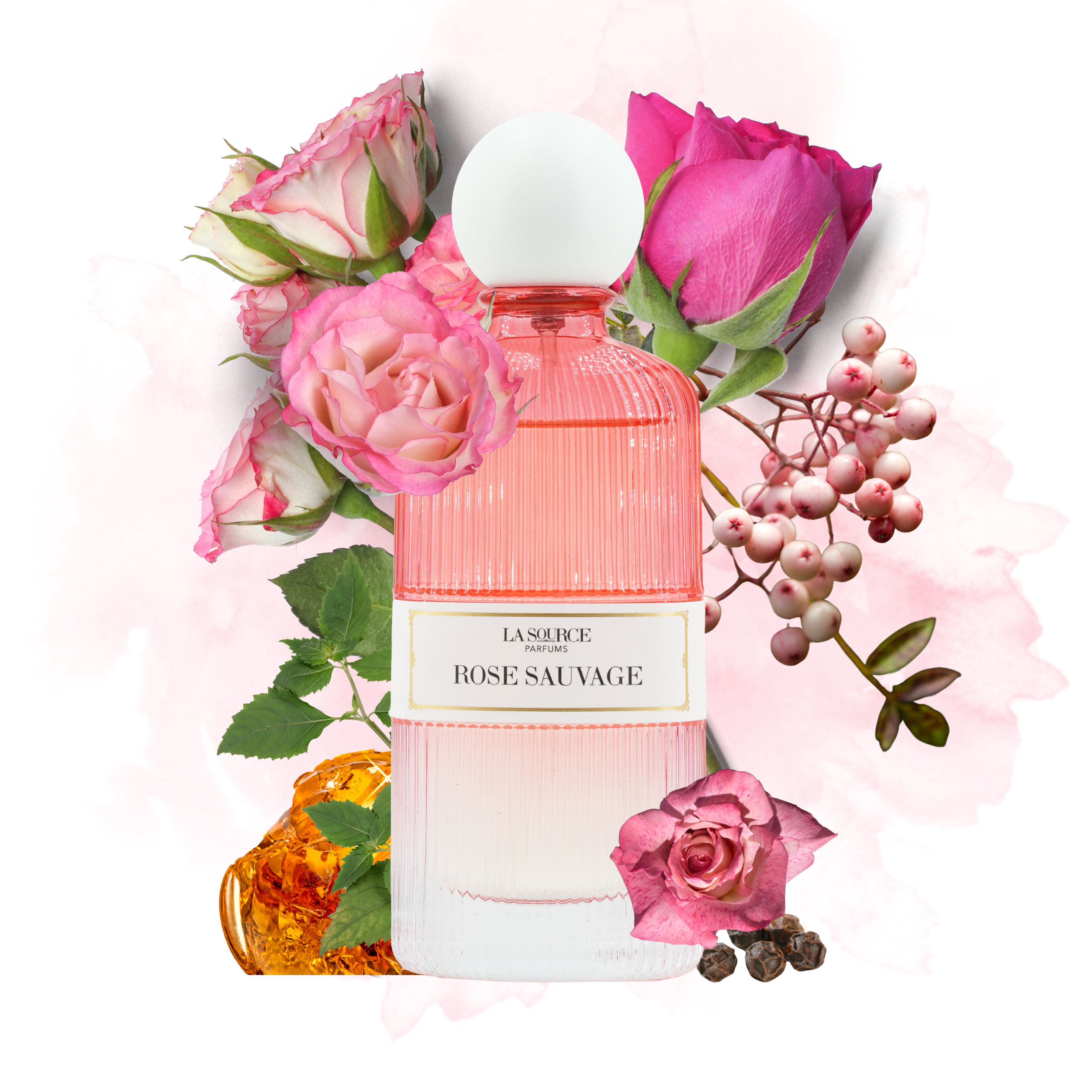 La Source Parfum - Eau de Parfum - COLLECTION - Vanille Eden, Rendez-vous Secret, Divine Idole, Petite Fleur, Rose Sauvage - 5x60ml