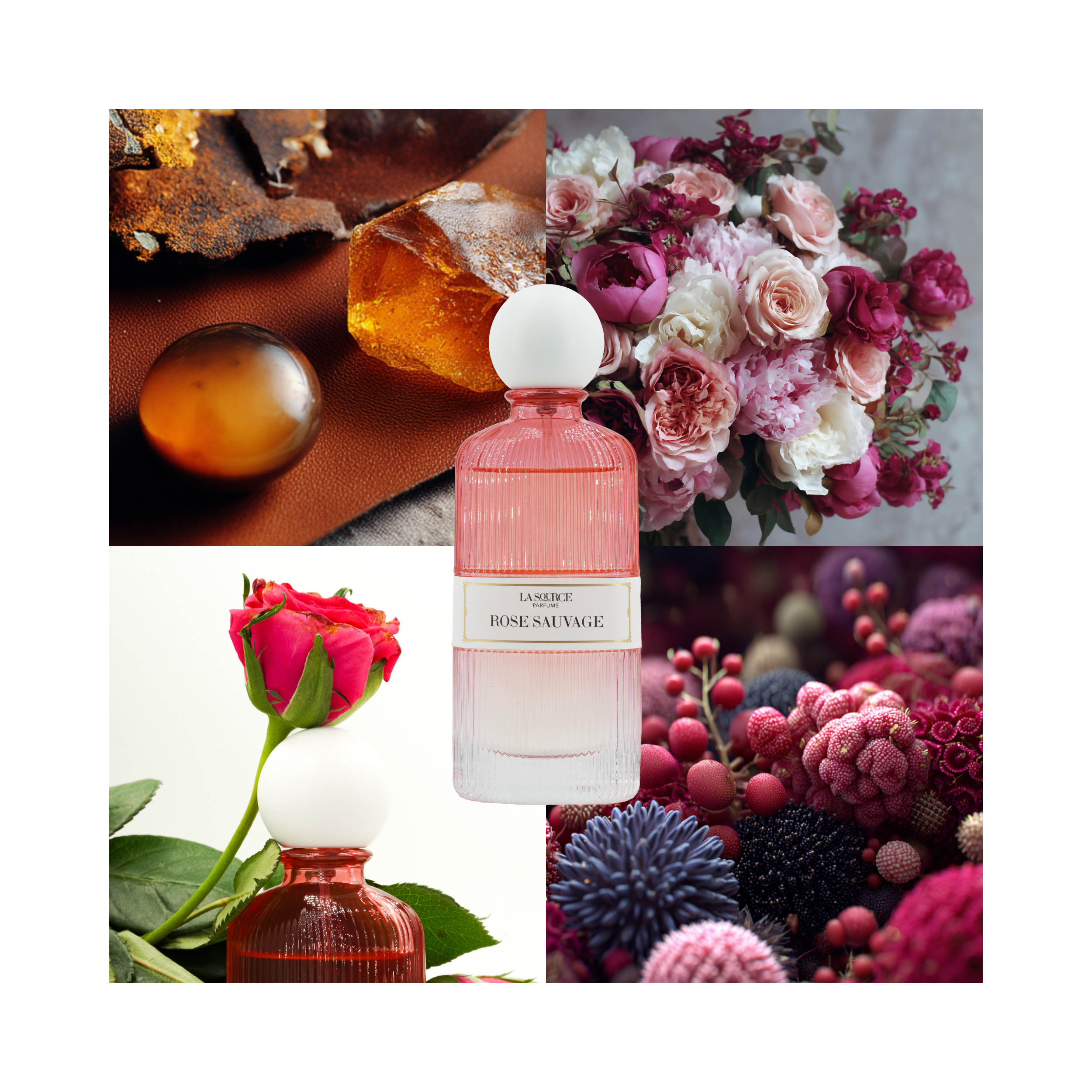 La Source Parfum - Eau de Parfum - COLLECTION - Vanille Eden, Rendez-vous Secret, Divine Idole, Petite Fleur, Rose Sauvage - 5x60ml