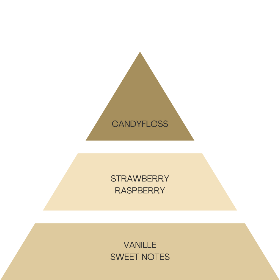 DZL - TRIO - Golden, Intense, Vanilla Moments - 85ml