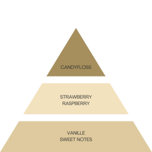 Load image into Gallery viewer, NEW DZL - TRIO - Golden, Intense, Vanilla Moments - 85ml
