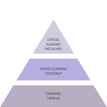 Load image into Gallery viewer, NEW DZL - TRIO - Golden, Intense, Vanilla Moments - 85ml
