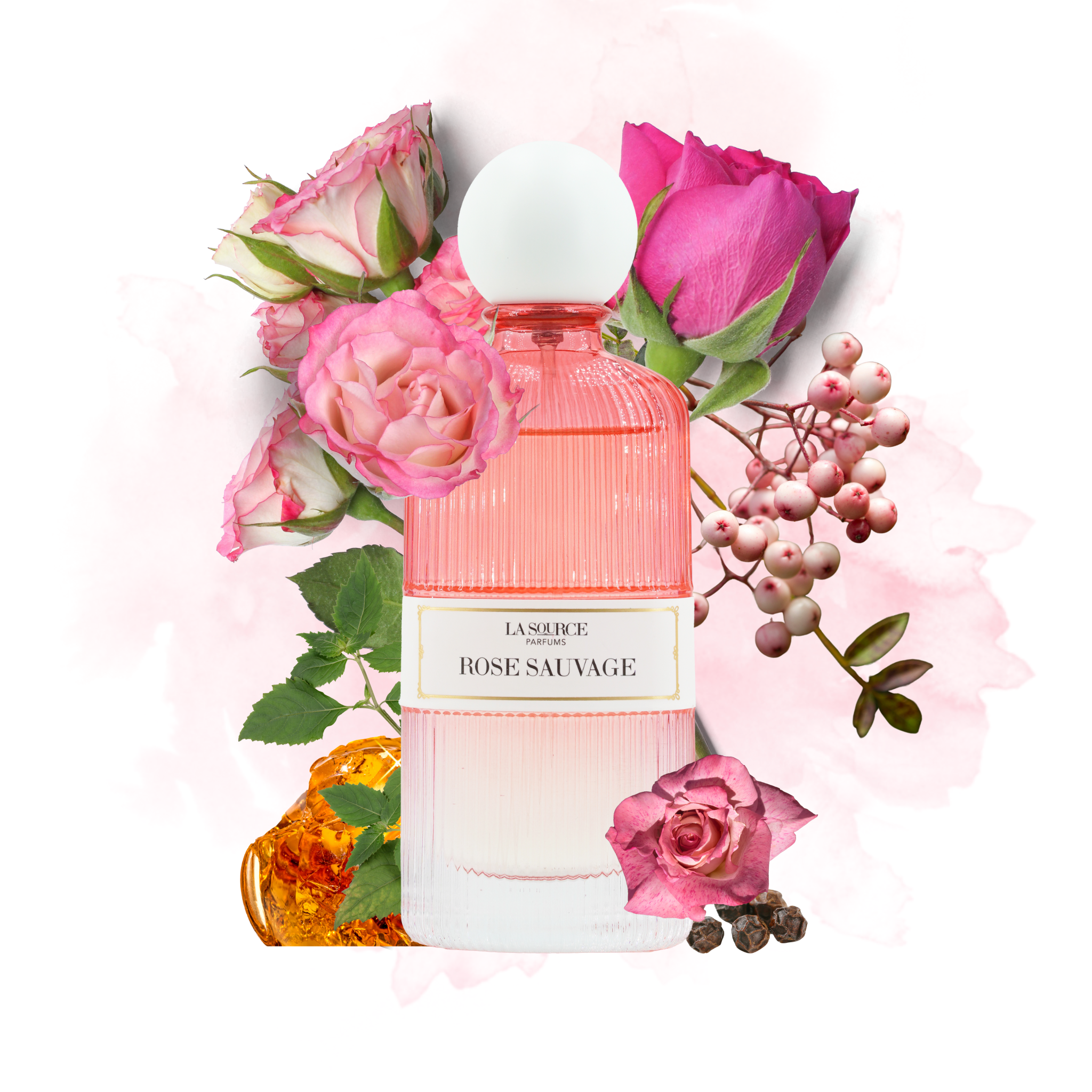 COFFRET LA SOURCE - Rose Sauvage